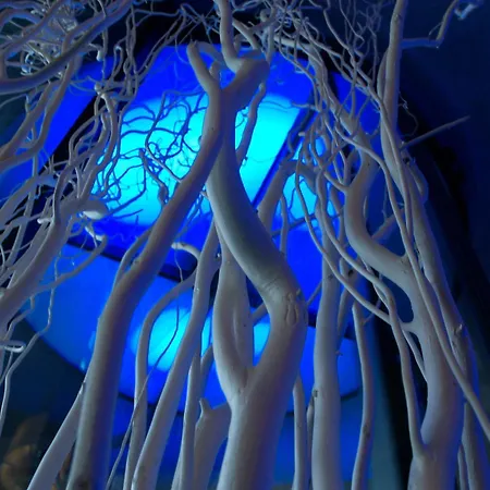 Cosmopolitan 4* Florence